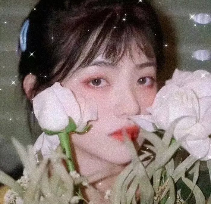 风姿物语银河篇
